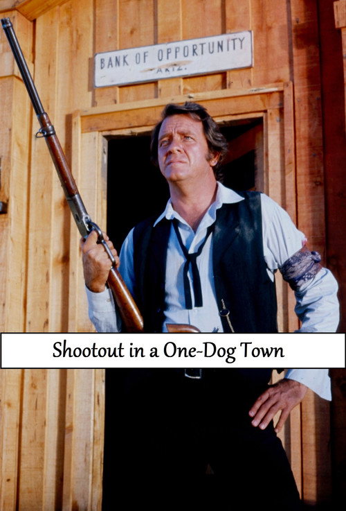 Movie poster for Shootout in a One-Dog Town (1974)