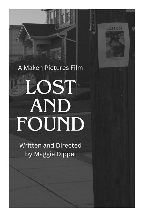 Movie poster for Lost and Found (2024)