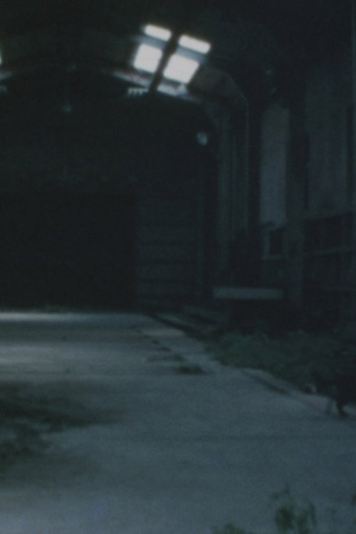 Movie poster for Ruins of Ōkubo (1990)