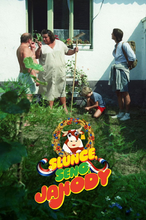 Movie poster for Sun, Hay, Strawberries (1984)