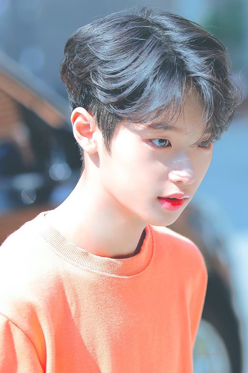 Son Dong-pyo profile