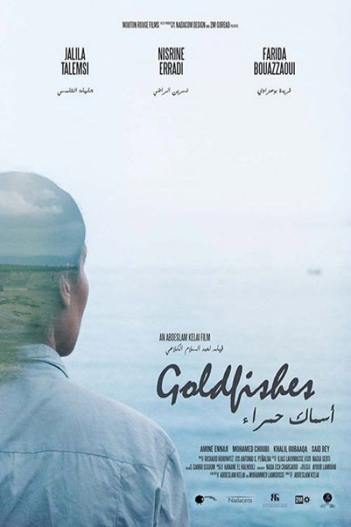 Movie poster for Goldfishes (2022)
