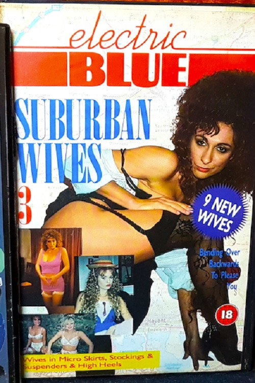 Movie poster for Electric Blue: Suburban Wives 3 (1991)