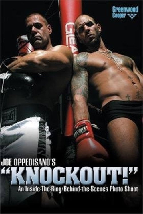 Movie poster for Knockout! (2008)