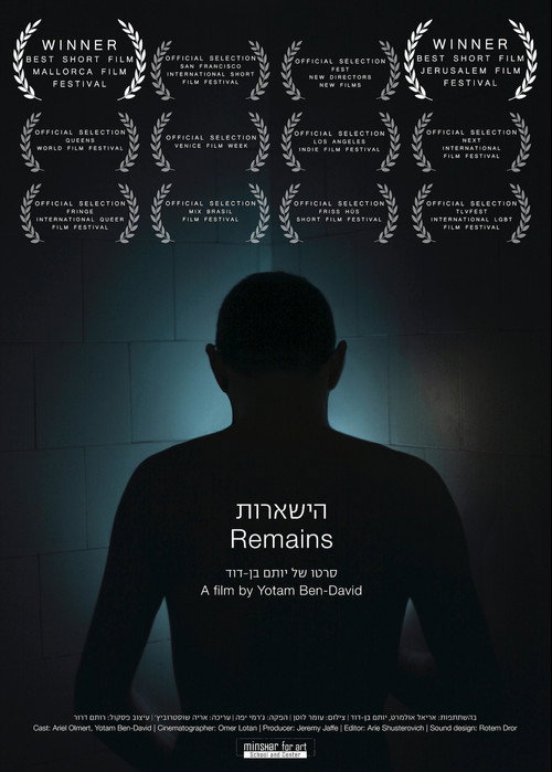 Movie poster for Remains (2013)