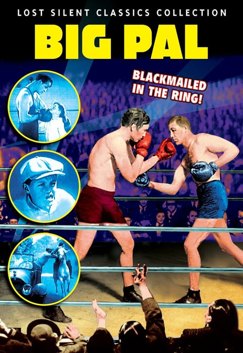 Movie poster for Big Pal (1925)