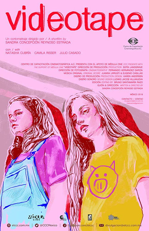 Movie poster for Videotape (2018)