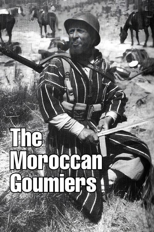 Movie poster for Les goumiers marocains (1993)