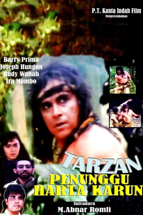 Movie poster for Tarzan: Treasure Watcher (1990)