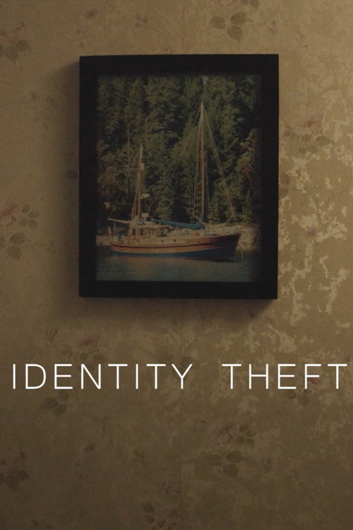 Movie poster for Identity Theft (2015)