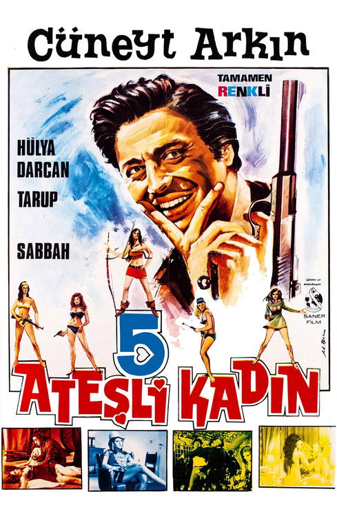 Movie poster for Gang of Women (1969)