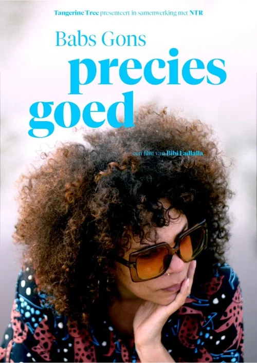 Movie poster for Babs Gons - Precies Goed