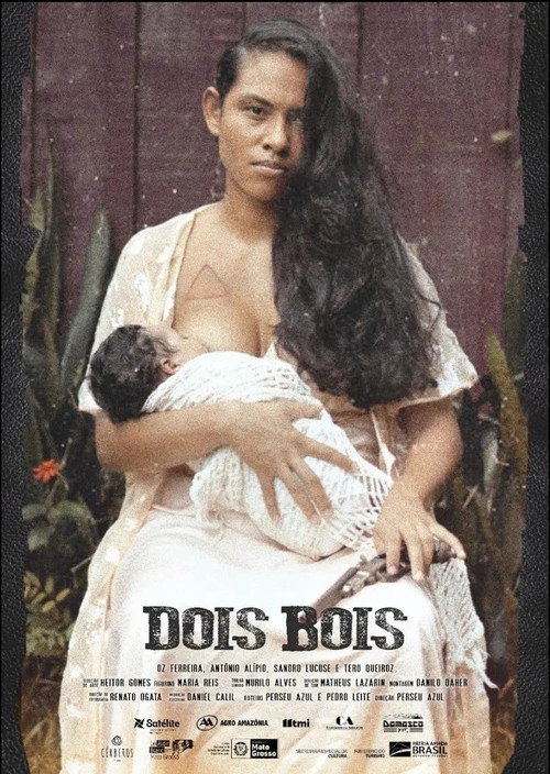 Movie poster for Dois Bois (2022)