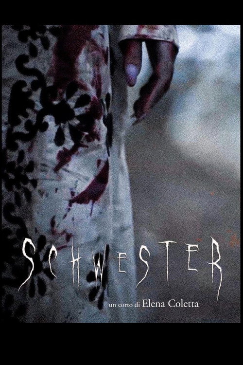 Movie poster for Schwester (2024)