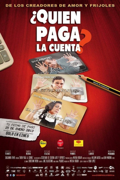 Movie poster for Who Pays the Bill? (2013)