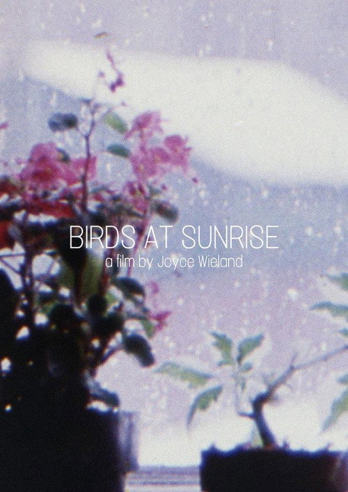 Movie poster for Birds at Sunrise (1986)