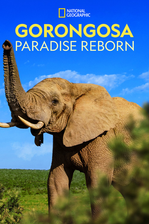 Movie poster for Gorongosa: Paradise Reborn (2022)