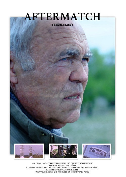 Movie poster for Aftermath (2011)