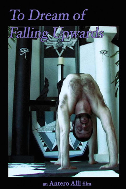 Movie poster for To Dream of Falling Upwards (2011)