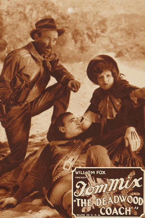 Movie poster for The Deadwood Coach (1924)