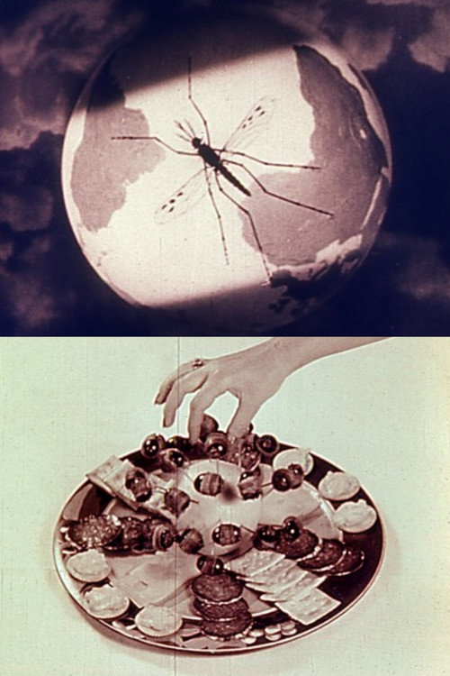 Movie poster for Lotus Wing (1968)