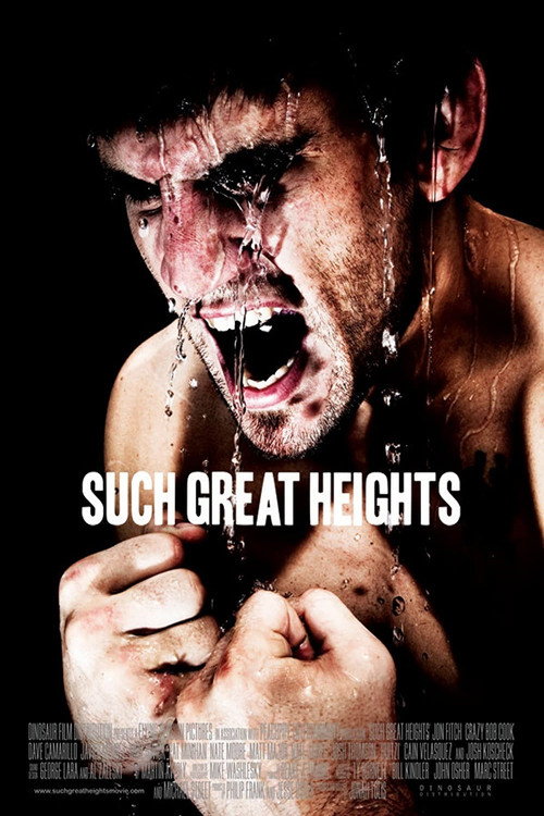 Movie poster for Such Great Heights (2012)