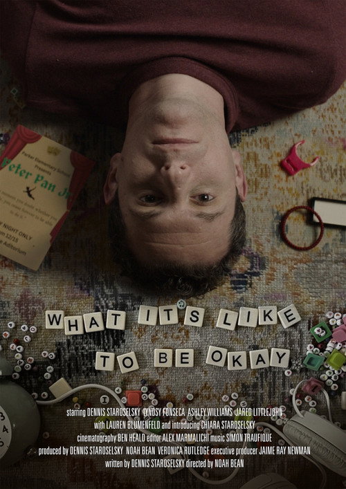 Movie poster for What It’s Like to Be Okay (2025)