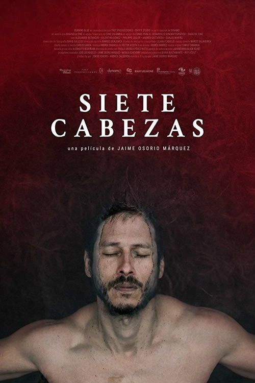 Movie poster for The Sacrifice (2017)