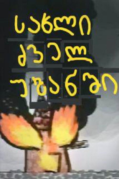 House in the Old District poster