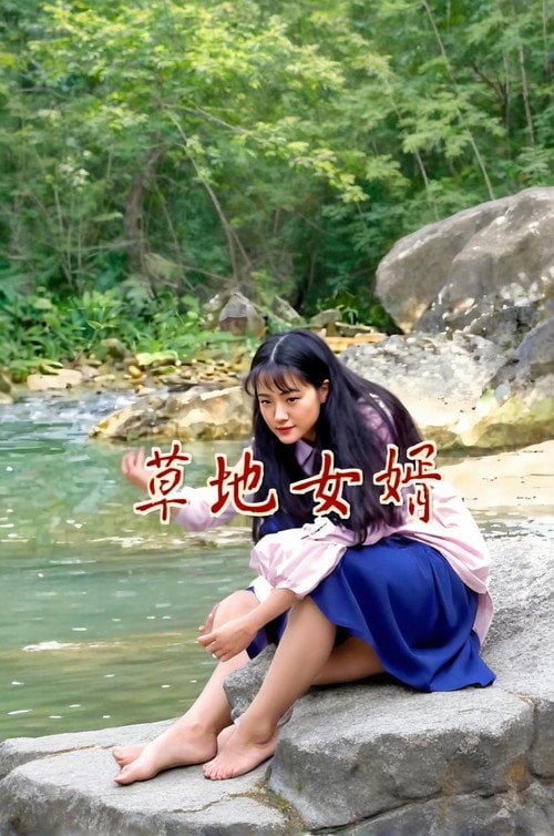 Series poster for 草地女婿 (1997)