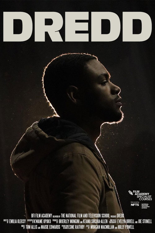 Movie poster for DREDD (2024)