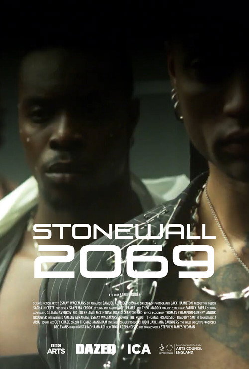 Movie poster for Stonewall 2069 (2021)