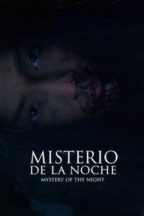Movie poster for Mystery of the Night (2019)