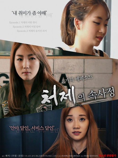 Movie poster for The Sister-in-Law Affairs (2017)