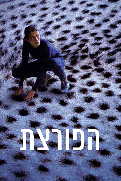 Movie poster for The Burglar (2016)