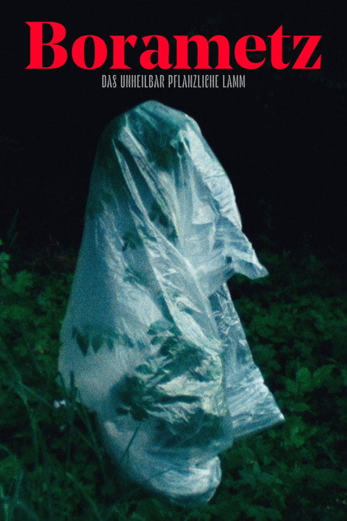 Movie poster for Borametz (2020)