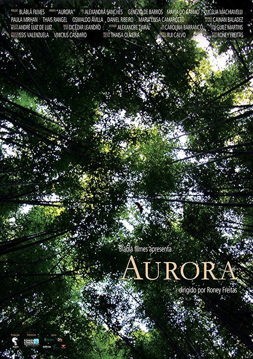 Movie poster for Aurora (2011)