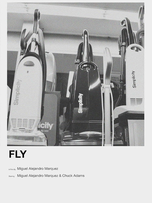 Movie poster for Fly (2021)