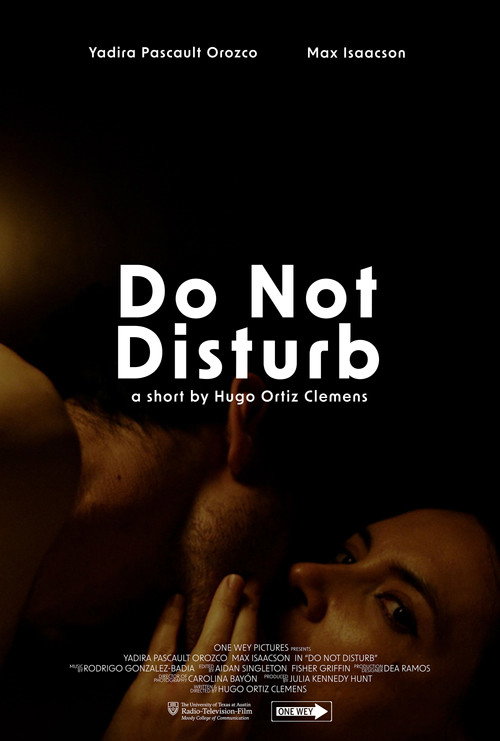 Movie poster for Do Not Disturb