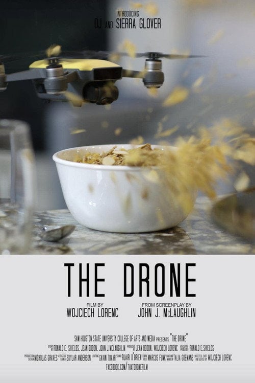 Movie poster for The Drone (2018)