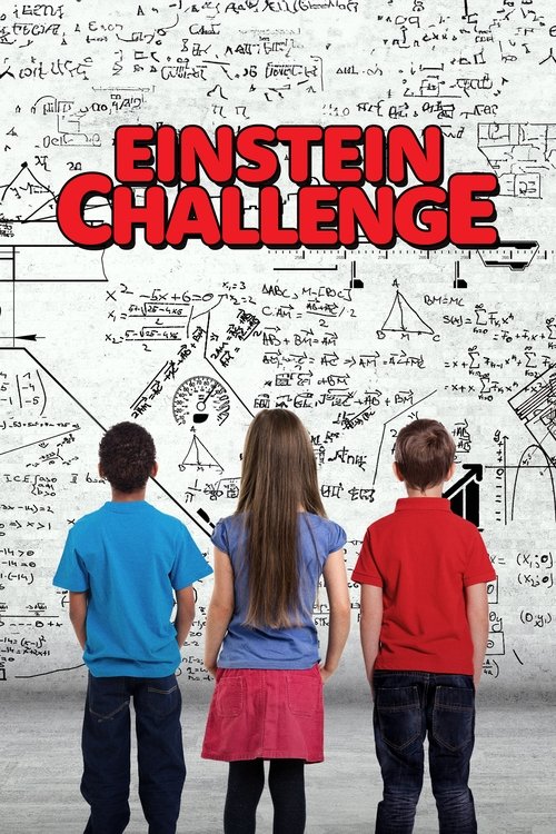 The Einstein Challenge poster