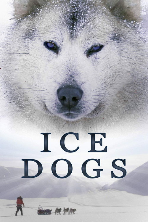 Movie poster for Ice Dogs: The Only Companions Worth Having (2016)