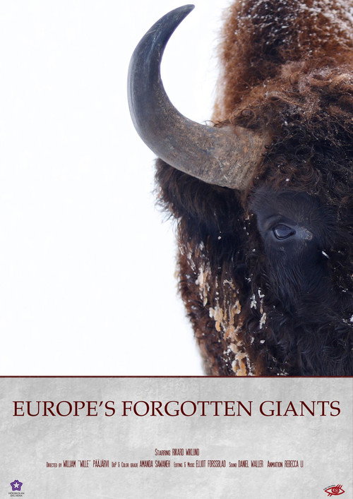 Movie poster for Europe's Forgotten Giants (2025)