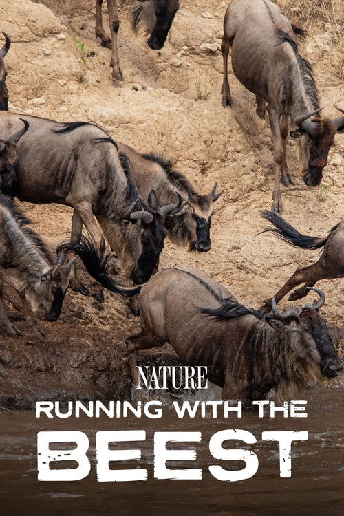 Movie poster for Running With The Beest (2022)