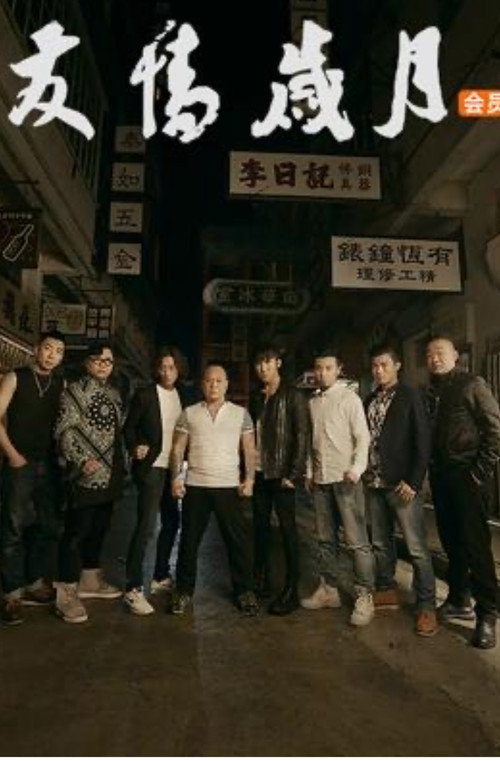Movie poster for 友情岁月 (2016)