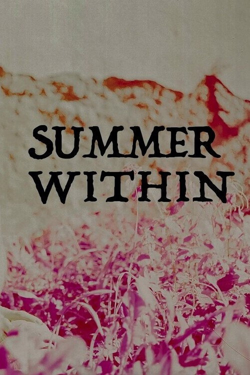 Movie poster for Summer Within (2023)