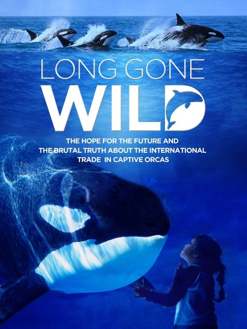 Movie poster for Long Gone Wild (2019)