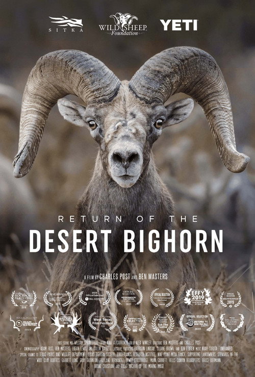 Movie poster for Return of the Desert Bighorn (2018)