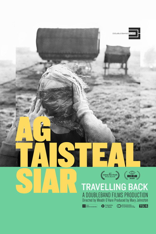 Movie poster for Travelling Back (2025)