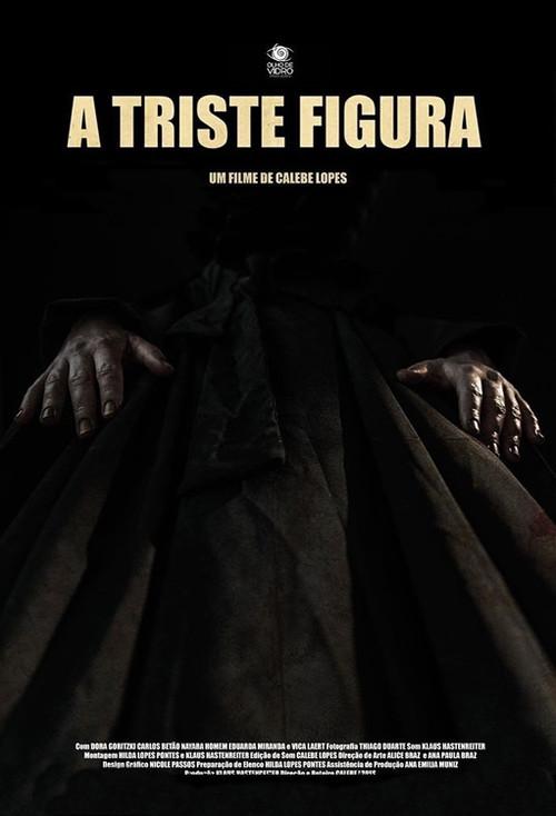 Movie poster for A Triste Figura (2018)